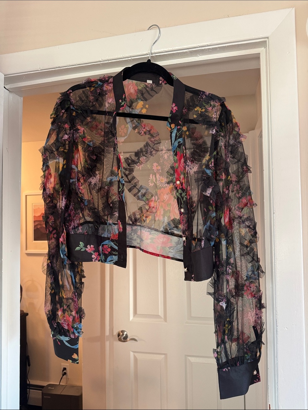 Sheer Black Floral Ruffle sheer top